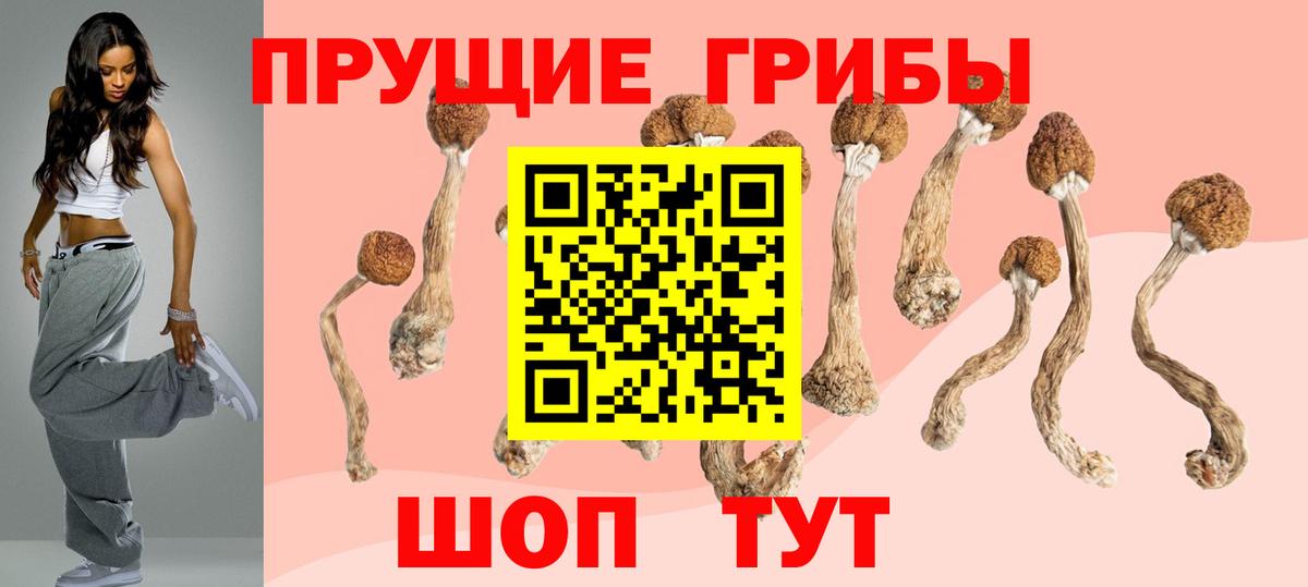 Бугуруслан  Галлюциногенные грибы Psilocybe  Вход с VPN 